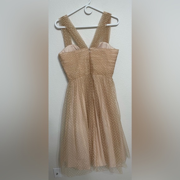 Vintage-Inspired Nude Polka Dot Tulle Dress – Size M - Picture 4 of 5